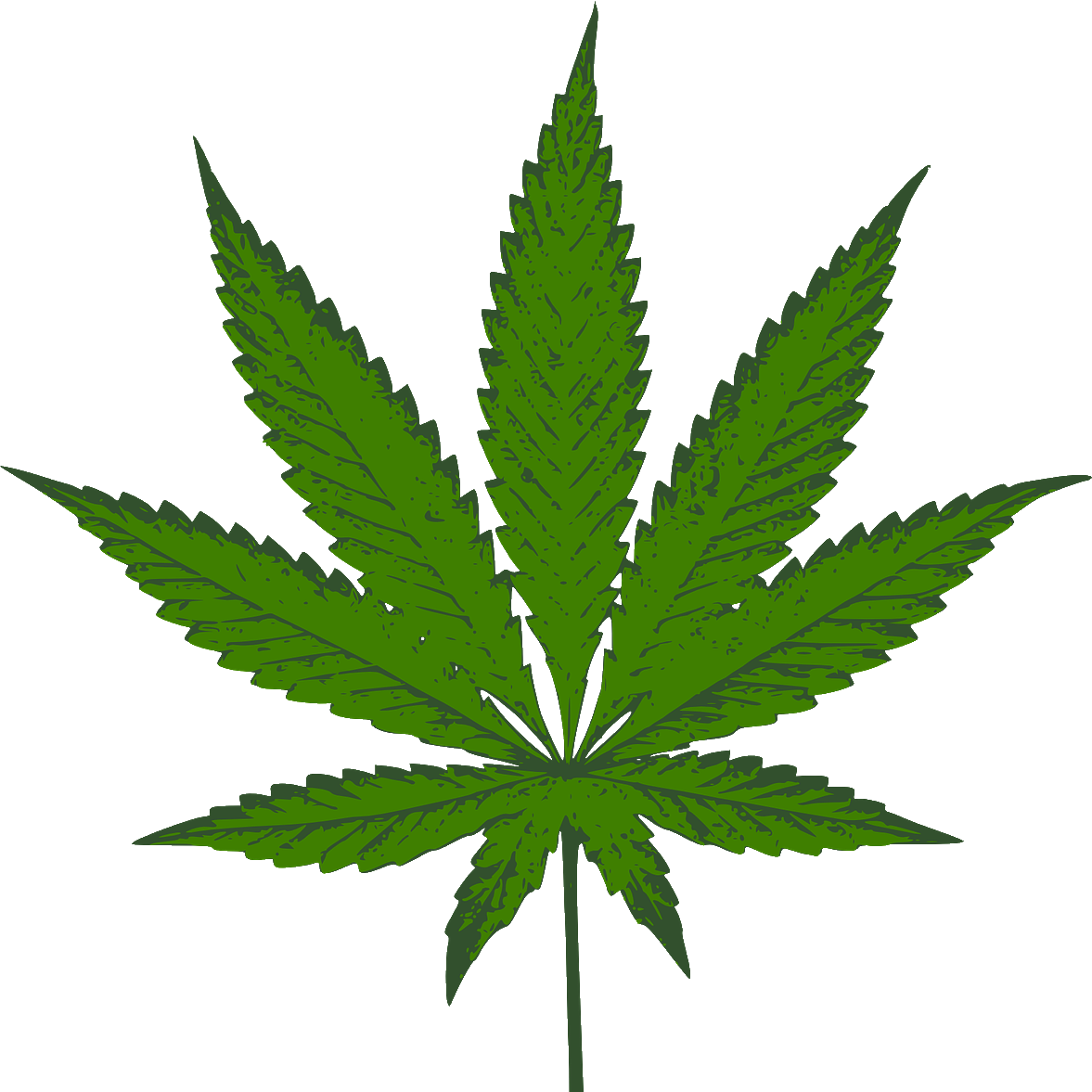 Photo d'une feuille de cannabis. Image de Clker-Free-Vector-Images de Pixabay